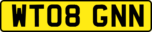 WT08GNN
