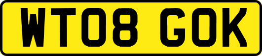 WT08GOK