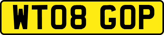 WT08GOP