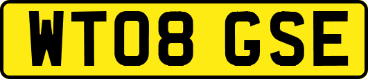 WT08GSE