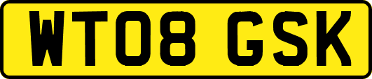 WT08GSK