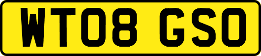 WT08GSO