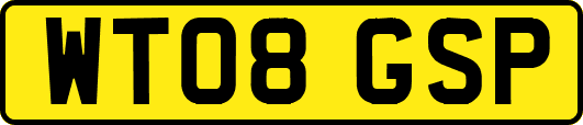 WT08GSP