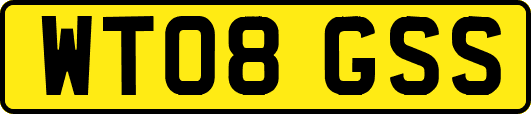 WT08GSS