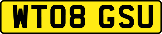 WT08GSU