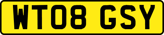 WT08GSY