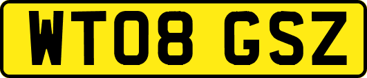 WT08GSZ