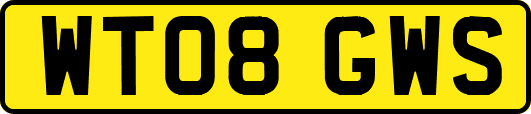 WT08GWS