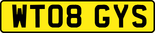 WT08GYS