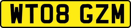 WT08GZM