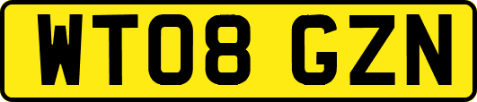 WT08GZN