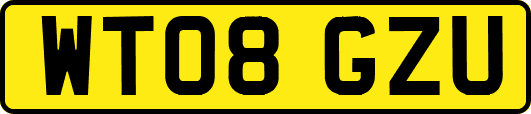 WT08GZU