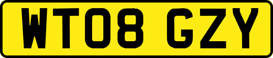 WT08GZY