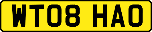 WT08HAO