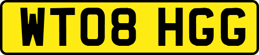 WT08HGG