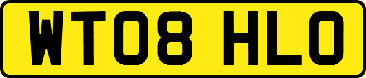 WT08HLO