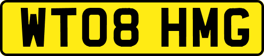 WT08HMG