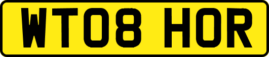 WT08HOR