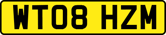 WT08HZM
