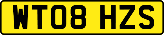 WT08HZS