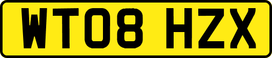WT08HZX