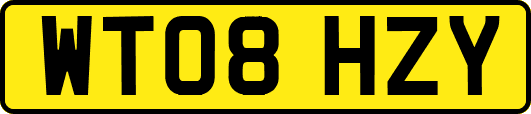 WT08HZY