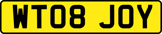 WT08JOY