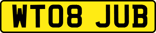 WT08JUB