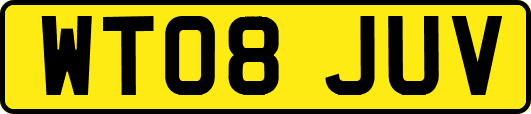 WT08JUV