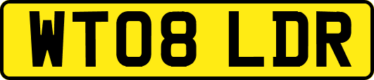 WT08LDR