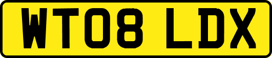 WT08LDX