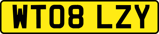 WT08LZY