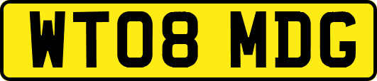 WT08MDG