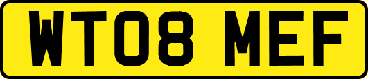 WT08MEF