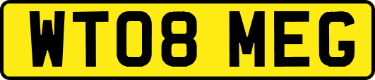 WT08MEG