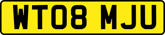 WT08MJU