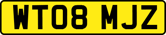 WT08MJZ