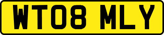 WT08MLY