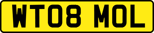 WT08MOL