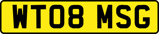 WT08MSG