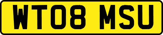 WT08MSU