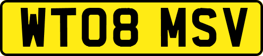 WT08MSV