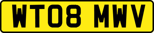 WT08MWV