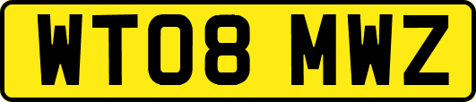 WT08MWZ