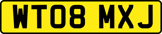 WT08MXJ