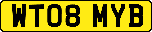WT08MYB