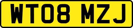 WT08MZJ