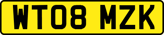 WT08MZK