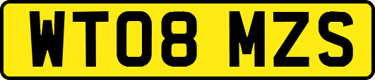 WT08MZS