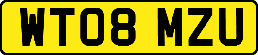 WT08MZU